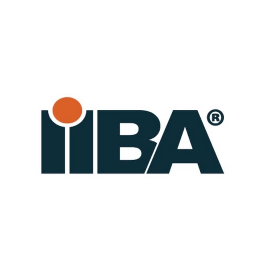 VP of Professional Development — IIBA logo